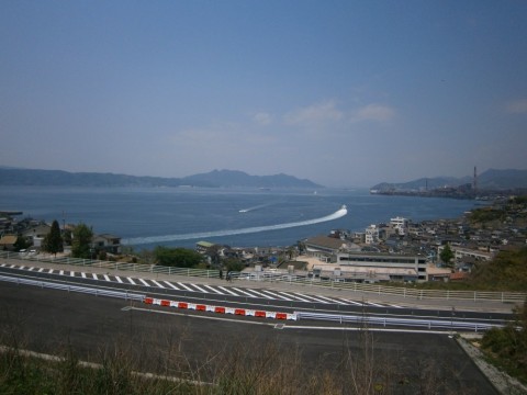 kkh7a4zym8hg3brn9fn6_480_480-f038bd5c.jpg