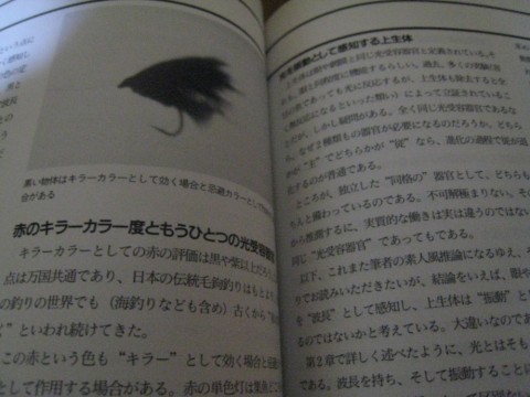 kkztpgv8cnwubuv62jzt_480_480-a7de8e8f.jpg