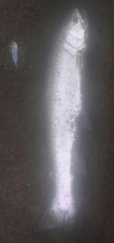 km3uhat8g5333txm4jmx_430_920-73421623.jpg