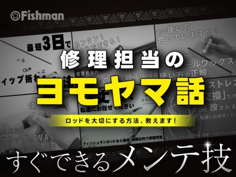 km55tbhffbuifxtps9oh_480_480-167f885b.jpg