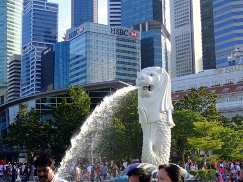 km8xxoo427gv5evckvwz_480_480-dec1e291.jpg