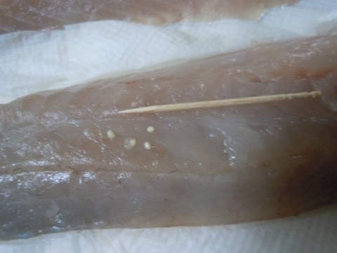kmprjboh7kw4wvh6ae5s_480_480-642c32fe.jpg