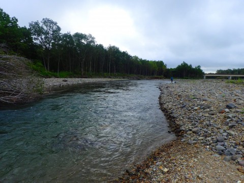 kmu2o73b34t2z394pkyx_480_480-e64e95cf.jpg