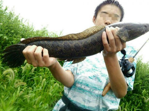 kmu4kf5gwax7g4yyj37w_920_690-29c2884e.jpg