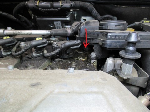kmzac6r5s5sr963zm2ji_480_480-80868fca.jpg