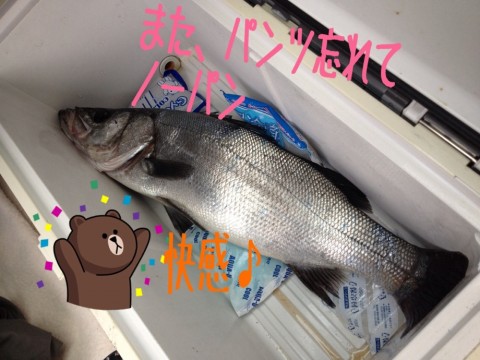 knbgcjys6p6csvicsuo5_920_690-76c61fe0.jpg