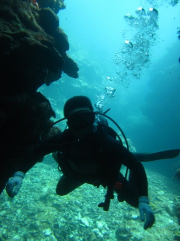 knirsbr7ksktferipymc_480_480-205e6b98.jpg
