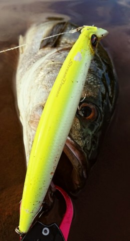 knot38vpdxfws4r3287m_498_920-e8793d51.jpg