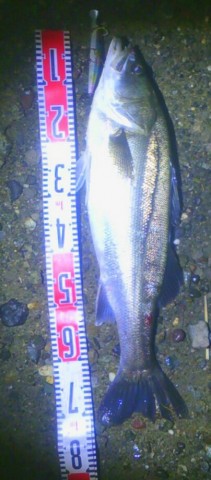knuuhh7ug7rkk4ifibo9_404_920-3c1cc339.jpg