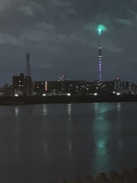 knzybbchg6cc8hvdod82_361_480-ff717618.jpg