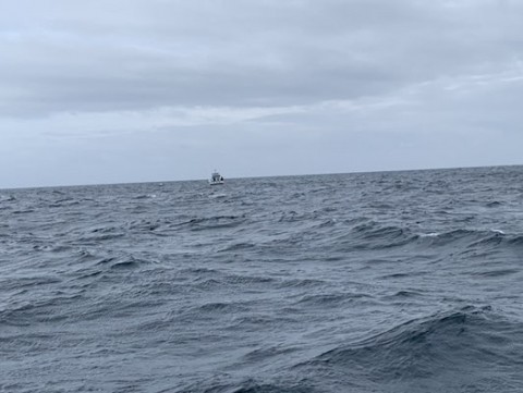 kogbwnd4fr5mrckwbuoy_480_361-2d2145b5.jpg