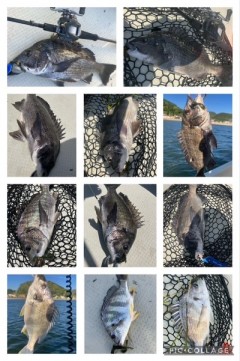 kogwwu979pn8svi4r74u_319_480-66a396e7.jpg
