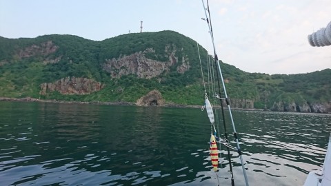 koknu8obz783iyvucv95_480_480-78805441.jpg