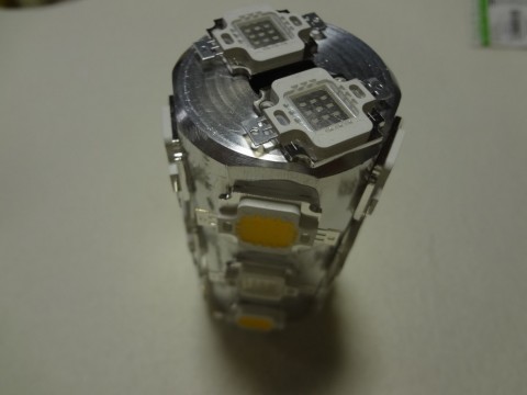 kotieze7vt83gbxgev7z_480_480-7750140b.jpg