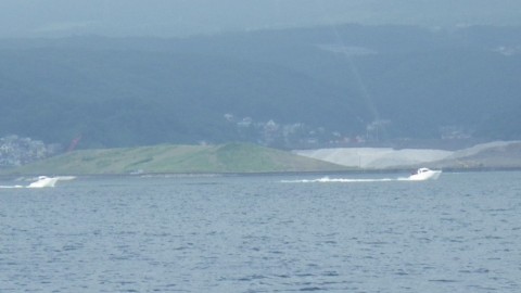 kou8dkak68utx3cju9u9_480_480-f5b3b083.jpg