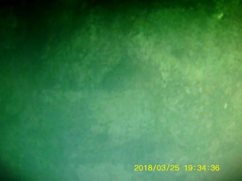 kp2jhurrrow72fhzx7yv_480_480-4129bb49.jpg