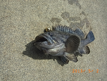 kp6kf2dpf7nwsat99k66-e7e14f4a.jpg