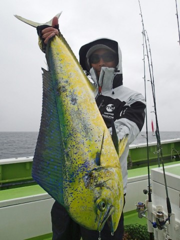 kpe9dugmaf78aj56ek37_480_480-2b0ffe81.jpg