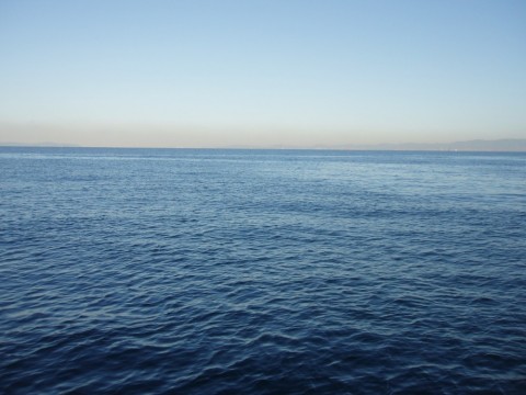 kpigeruchjcbt8k89awk_480_480-721dfaad.jpg