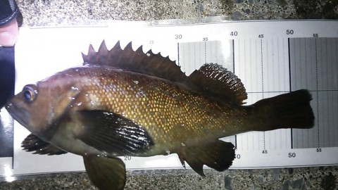 kpik2cry5imj23nj3kcw_920_518-e64746ec.jpg