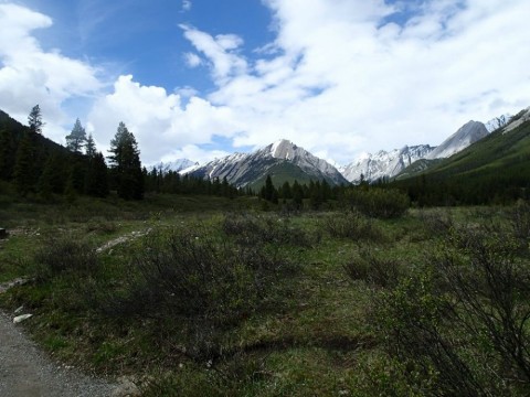 kpjzhcgngmsizizobctv_480_480-43d9753a.jpg