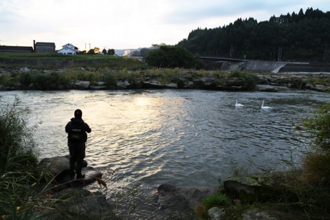 kpxzujcifrd9fb7f6te7_480_480-d82abd55.jpg