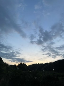 kr2u756z2ttikh379vd9_360_480-8a73a5f9.jpg