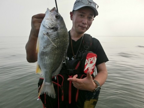 kr36aognmdvyfacap5xu_480_480-d88eb2ce.jpg
