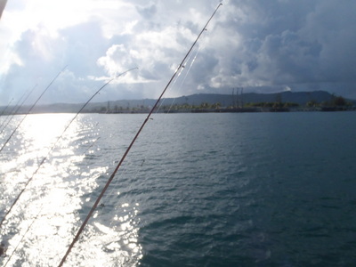 krmagyce362kdn86mo3a-cb11e909.jpg
