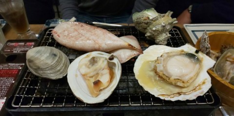 krn349sf8p8cs48mmx22_480_480-ebc17f55.jpg