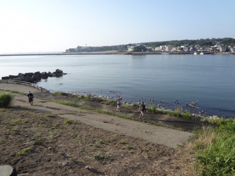 krtekewn2u5rigd8d7no_480_480-05e9d85b.jpg