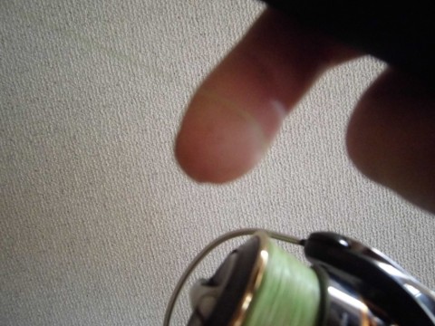 krwi2n9ejoyjvkkci4uk_480_480-905ce6fb.jpg