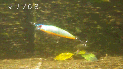 ks4o939nt5rzbo6s3s6z-a16b1e34.gif