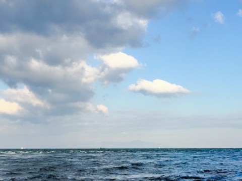 ksrmd9y35fdpv23vvxww_480_480-c3255e53.jpg