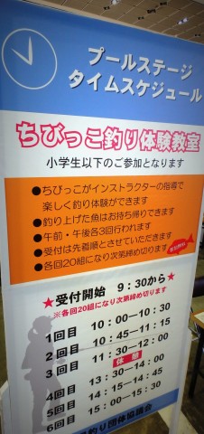 kt837nyzi88d72wtcohy_480_480-c230bf37.jpg