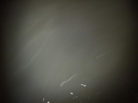 ktvfyenhf6tcaccaoupk_480_480-15a0cc31.jpg