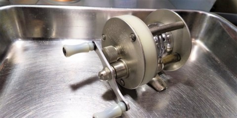 kuf3usukfp6ho5649544_480_480-7fc52585.jpg
