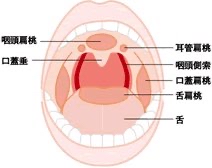 kuhdc9vhcitannngrgk2_212_168-742cb9d9.jpg