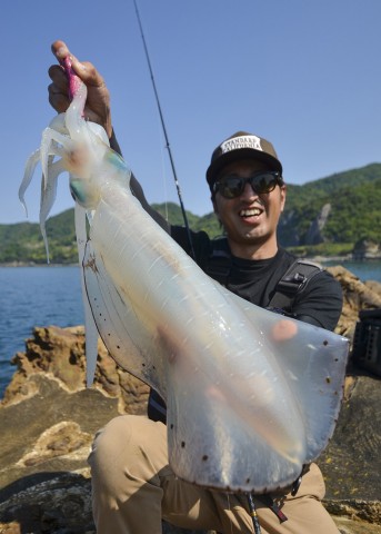 kuho7vpaysai94vv96gk_480_480-39f8b983.jpg