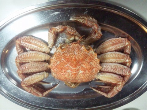 kujbpiucnsijrgovbj3a_480_480-8da7c53c.jpg