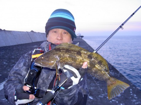 kusnow5xuwd8v4khmn7d_480_480-5f3c49d2.jpg