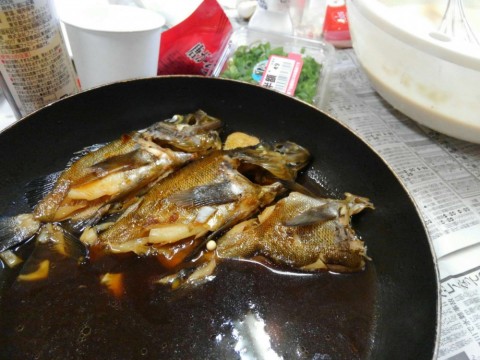 kusowyd4dyufohchaxzg_480_480-fa634915.jpg