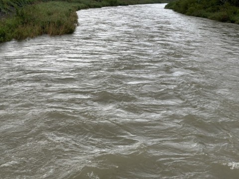 kutzfpzrex538xcrjxuw_480_480-e2c98096.jpg