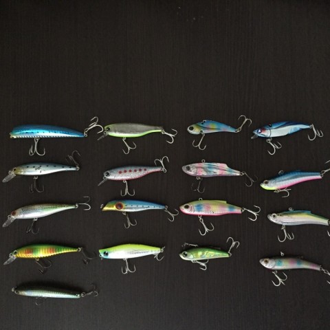 kuwru9x3jpy5u47a79pb_480_480-8010089b.jpg