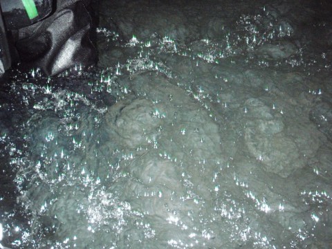 kuy3hh5so8x6wovta7xh_480_480-1eb4a29a.jpg