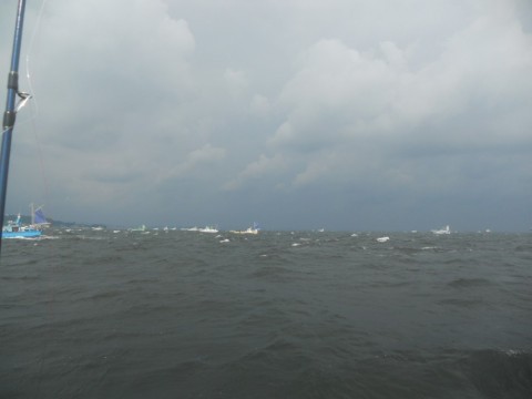 kuzt3r99kwx2cmfpgz6n_480_480-28216de9.jpg