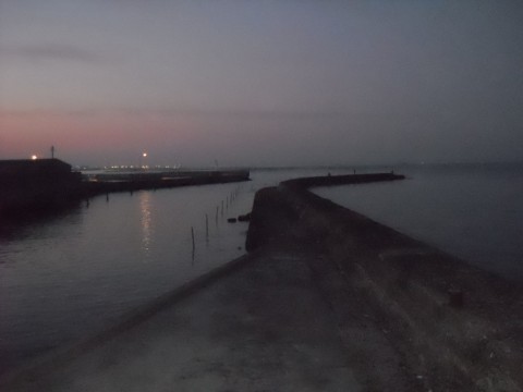 kvnmret6mrtajaanxb3d_480_480-122c448c.jpg