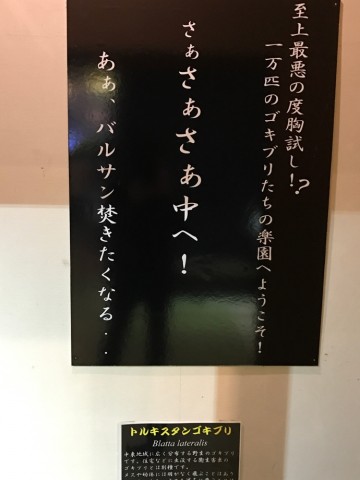 kvrsxesj7rw57kp247dv_690_920-7ead9b58.jpg