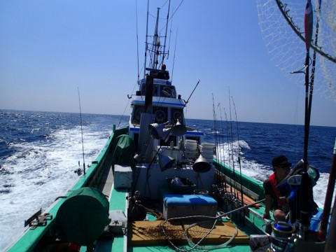 kvx22v5na5ejdofzd4sm_480_480-f750ce69.jpg