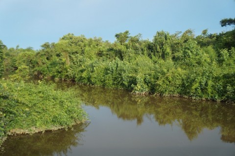 kvyuhyzfhsswm4ycyrte_480_480-095dd231.jpg